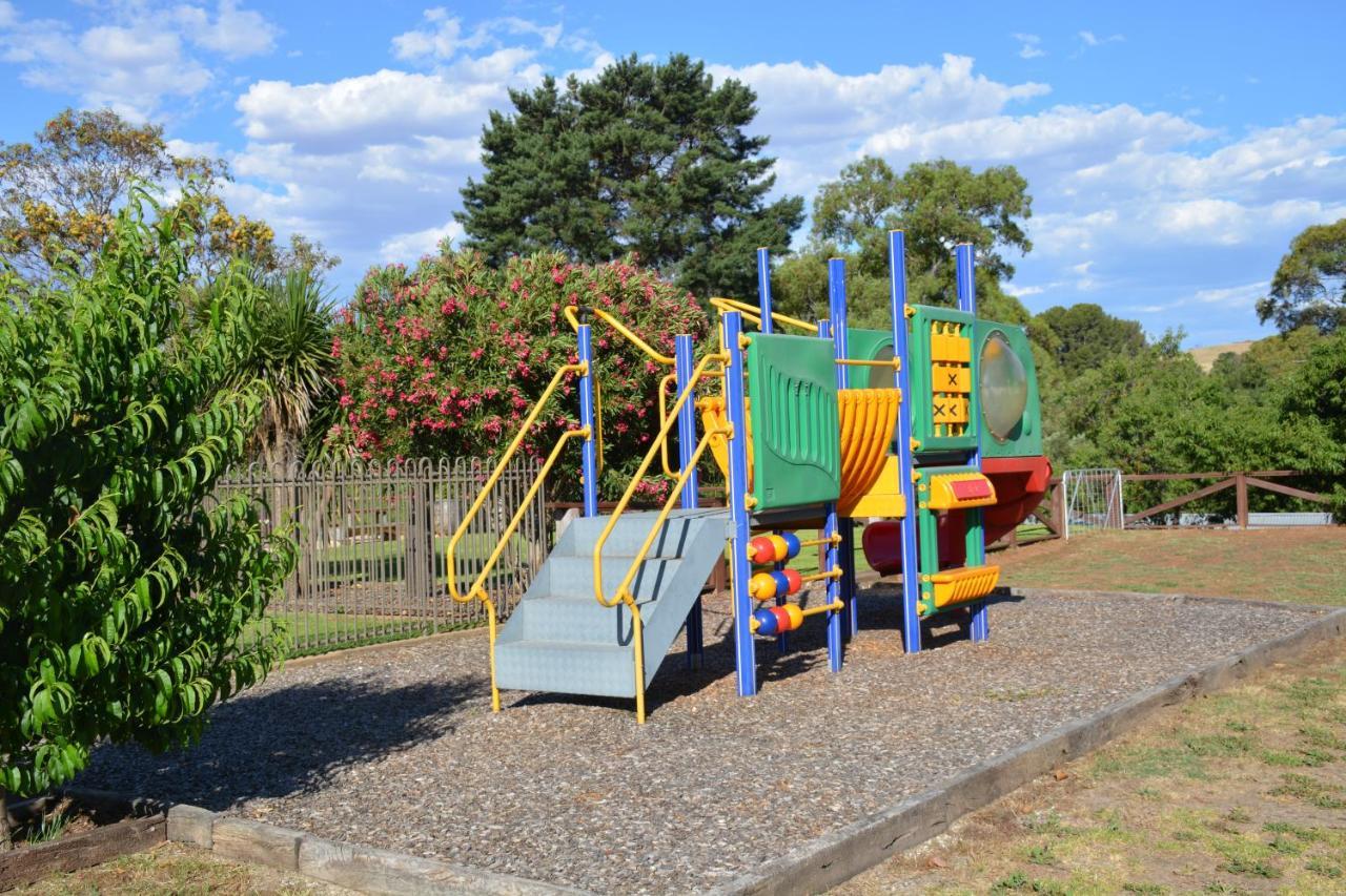 Angaston Vineyards Motel Kültér fotó
