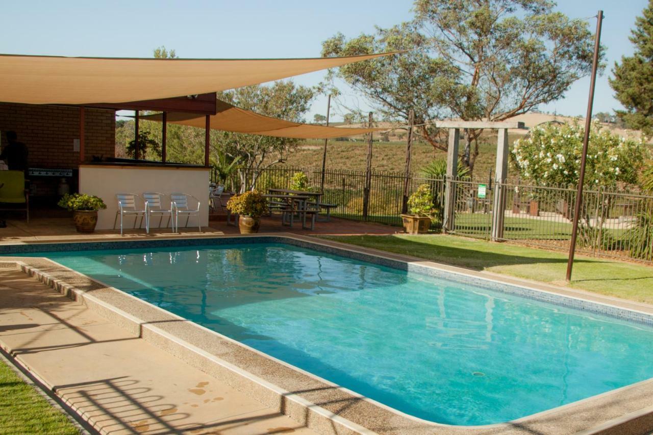 Angaston Vineyards Motel Kültér fotó