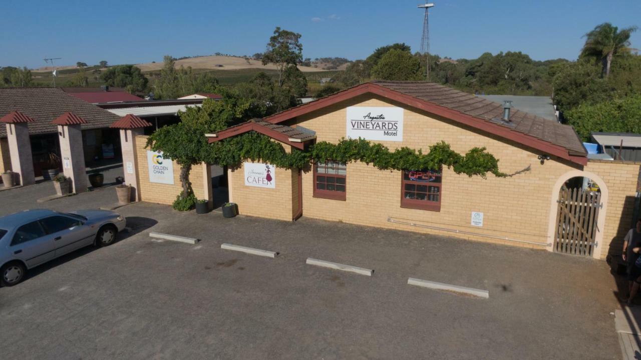 Angaston Vineyards Motel Kültér fotó