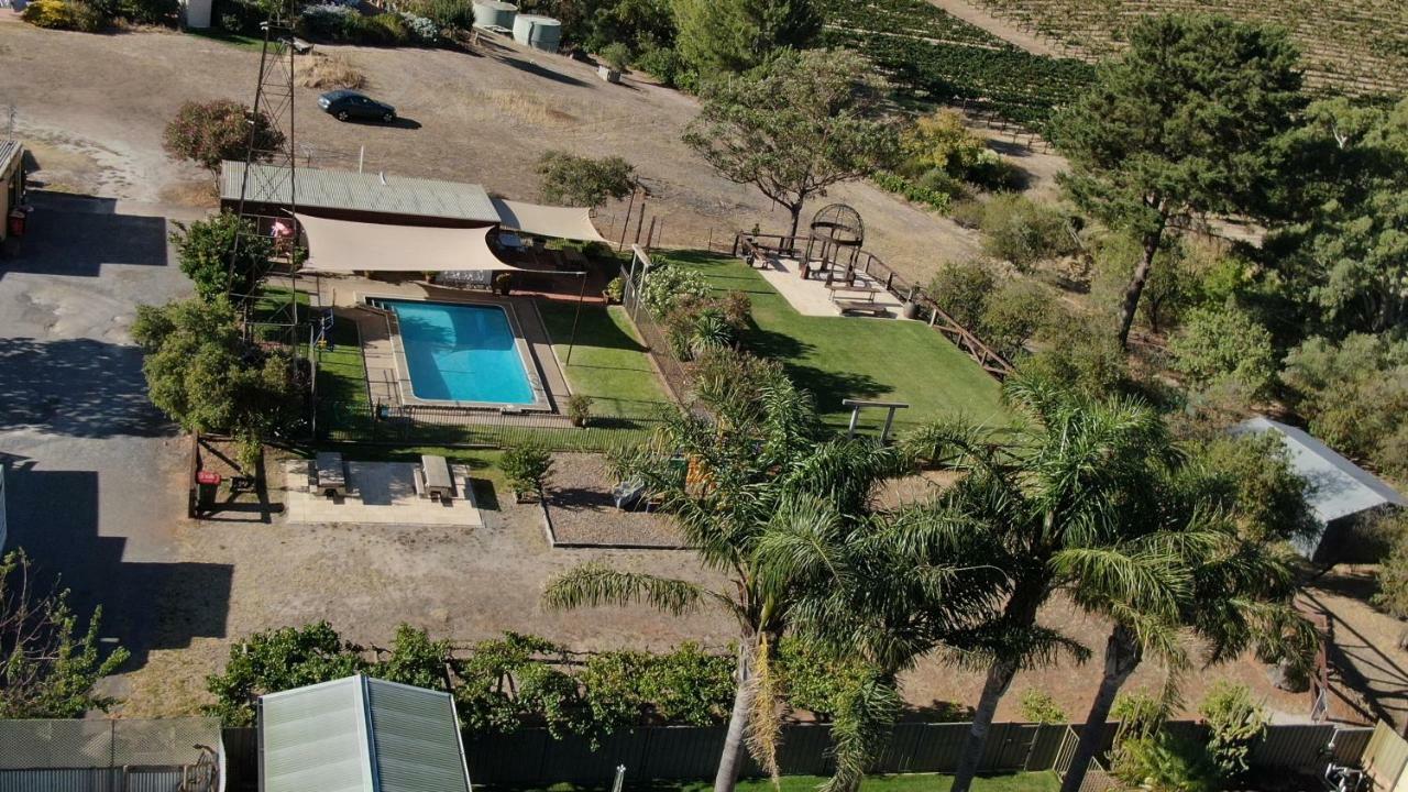 Angaston Vineyards Motel Kültér fotó