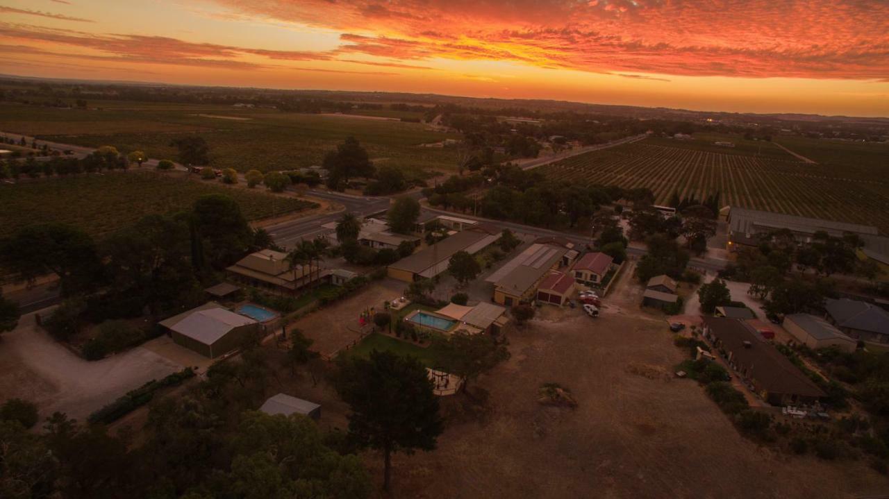 Angaston Vineyards Motel Kültér fotó